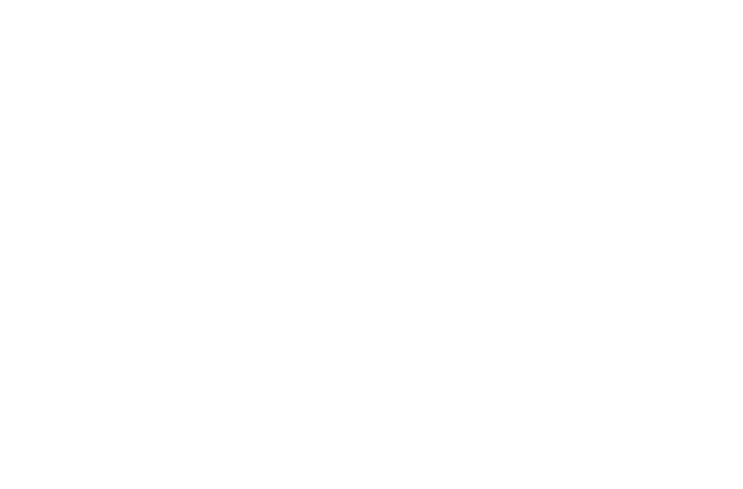 IGEM-1