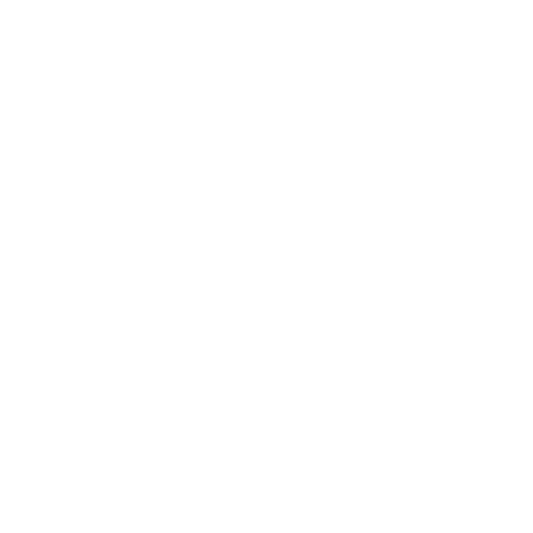 SYNBEE-1