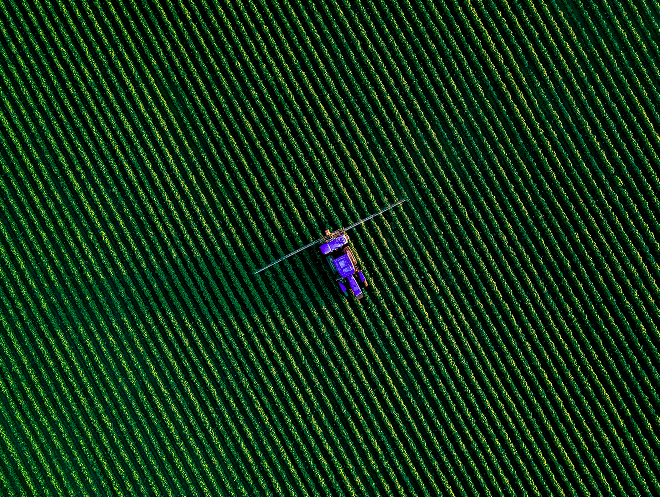 Pulv&eacute;risation de pesticides sur un champ