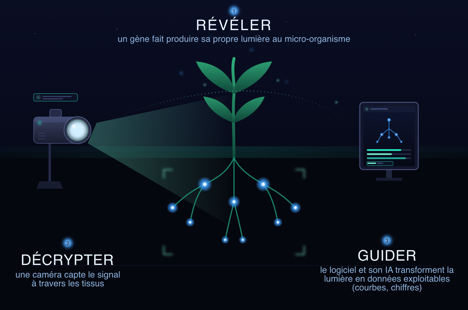 Sch&eacute;ma : R&eacute;v&eacute;ler, D&eacute;crypter, Guider